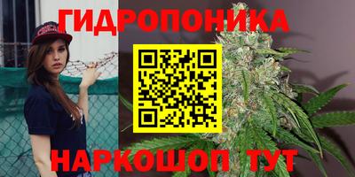 сатива Конаково