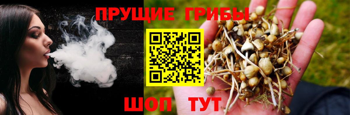 Псилоцибиновые грибы мухоморы  Вход с VPN  Энгельс 